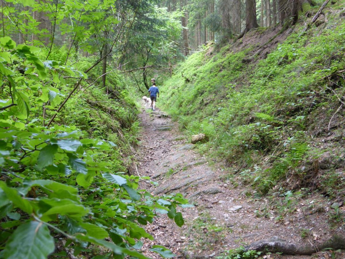 Kueken Winterberg Διαμέρισμα Εξωτερικό φωτογραφία